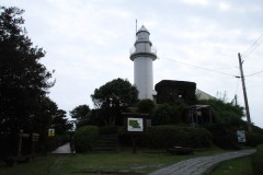 IMG_7498