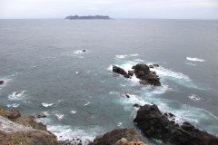 IMG_8249