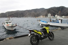 伊豆半島一周。戸田漁港で