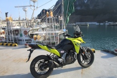 尻屋漁港にゴール