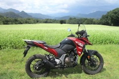 高杖高原（福島）のソバ畑。絶景だ！