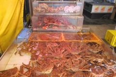 カニは生きてる！