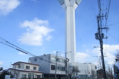 五稜郭タワーが見えてくる