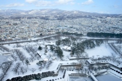 五稜郭タワーから見下ろす五稜郭