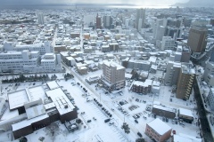 五稜郭タワーから見下ろす函館の中心街