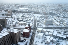 五稜郭タワーから函館山方向を眺める