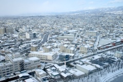 五稜郭タワーから駒ヶ岳方向を眺める