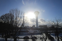 五稜郭から見る五稜郭タワー