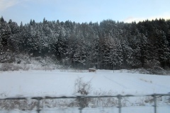 北海道の雪景色