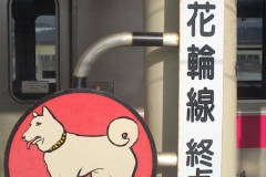 大館駅からは盛岡行の花輪線が出ている