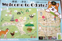 大館の案内図。「忠犬ハチ公」の生家が載っている