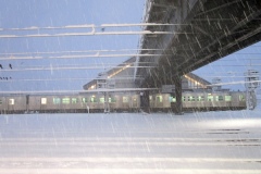 激しく雪が降っている