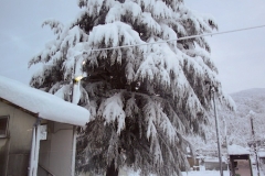 馬下駅の雪景色