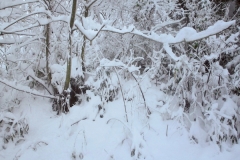 車窓を流れる雪景色