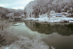 豊実から見る阿賀野川