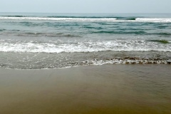 0IMG_1248
