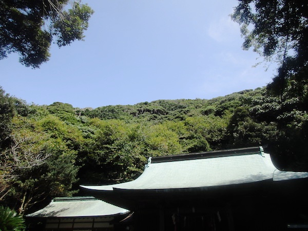 洲崎神社の境内林。ここは千葉県内では一番の自然林