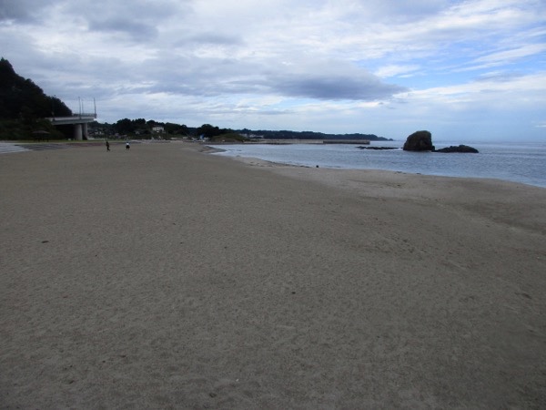 志津川の海岸