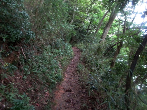 荒島の山道を登っていく