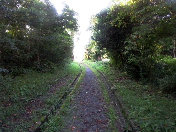 御崎の遊歩道を歩く