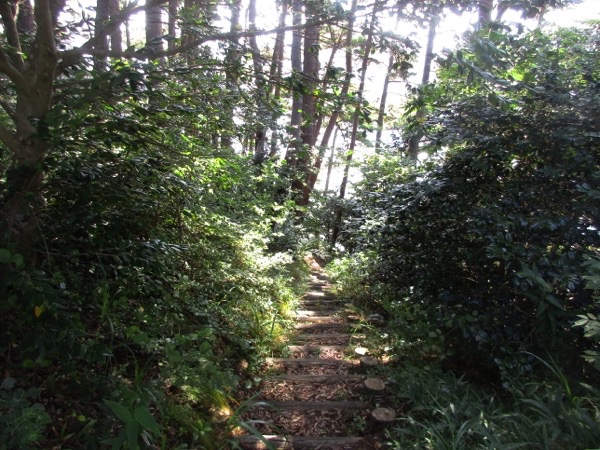 広田崎への遊歩道