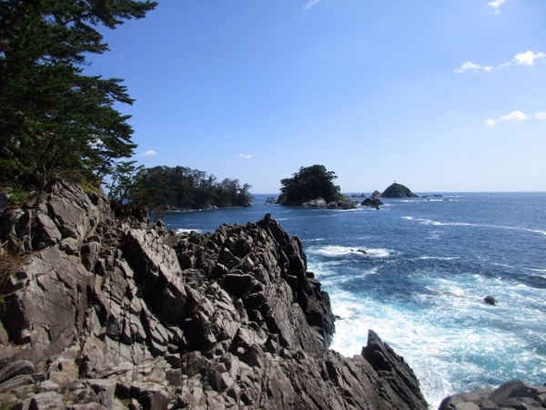 広田半島最南端の広田崎からの眺め。常緑樹の青松島とウミネコの椿島が見えている