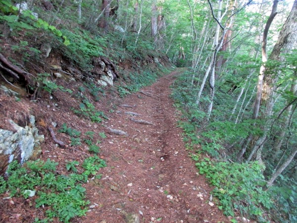 トドヶ崎への道。4キロほど山道を歩く