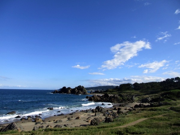 種差海岸は絶景だ!
