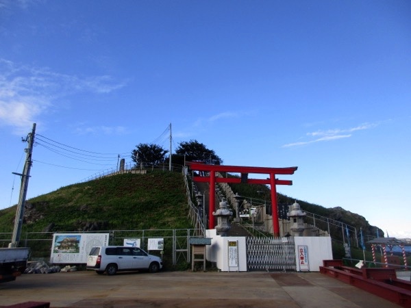 ウミネコの蕪島。蕪島神社は火事で焼けてしまい再建中