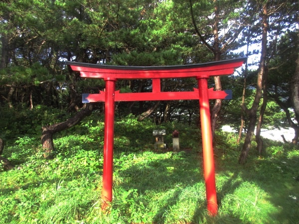 中山崎の鳥居と祠