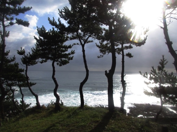 中崎の風景