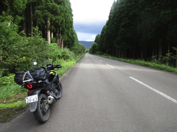 尻屋崎への快走路