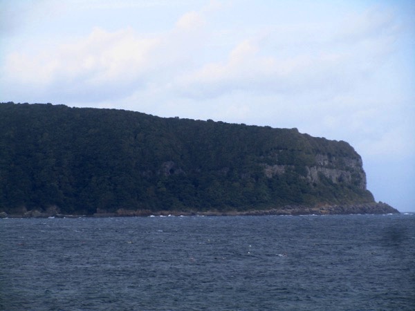 銚子岬の断崖を見る