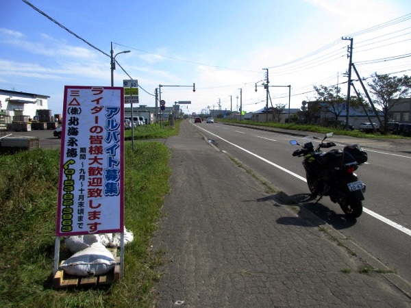 標津の国道沿いには「サケバイ」(サケのバイト)の看板が立っている