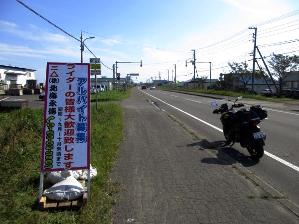 標津の国道沿いには「サケバイ」（サケのバイト）の看板が立っている