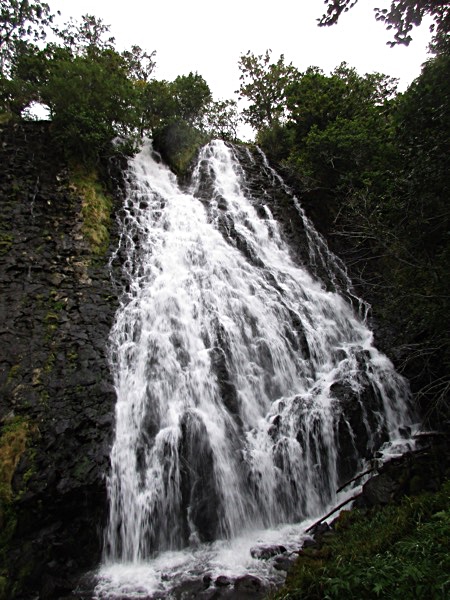 知床半島の名瀑、オシンコシンの滝