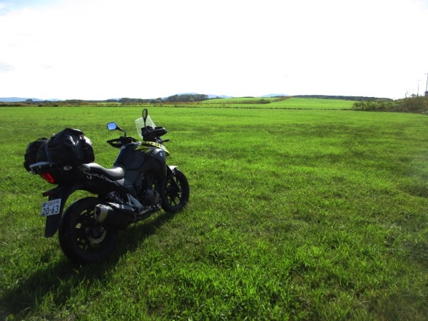 枝幸町の牧草地。この広さが北海道!