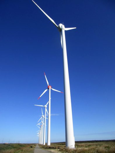 道道106号沿いの風力発電用の風車