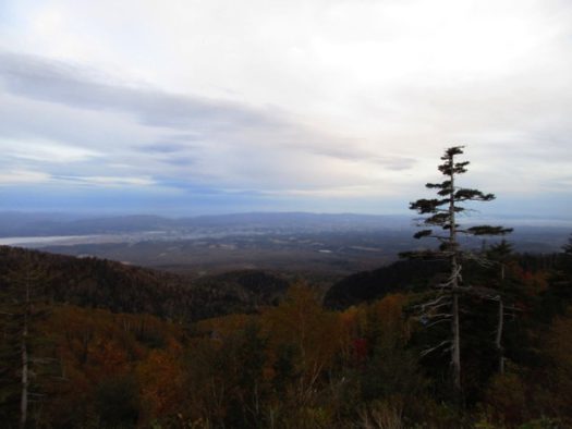 「稜雲閣」からの眺め