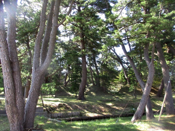 海岸の松林には平舘台場跡が残っている