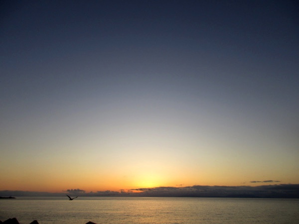 夜明けの日本海
