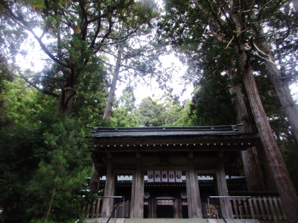 渡津神社の神門