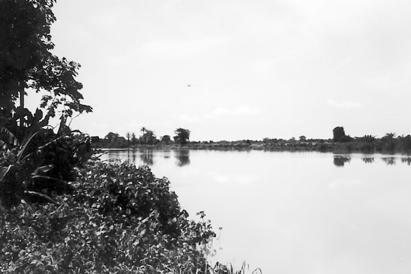 ガンビア川の流れ