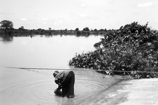 ガンビア川の流れ