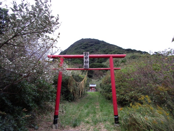 柏島の野中神社