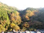 吉野川上流の紅葉