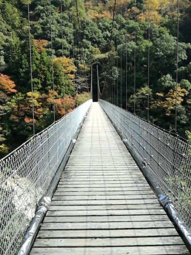 大歩危にかかる吊り橋