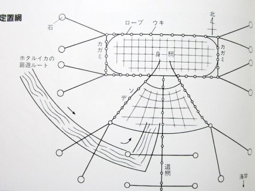 ホタルイカ漁の定置網図