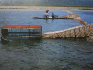 魚野川の鮭の一括採捕場
