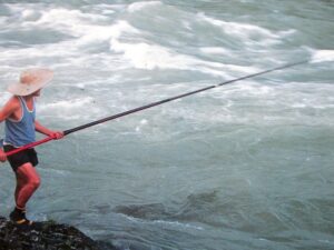 吉野川の大歩危で鮎を釣る釆本博さん